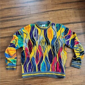 COOGI Multicolor Crewneck Sweater for Men
